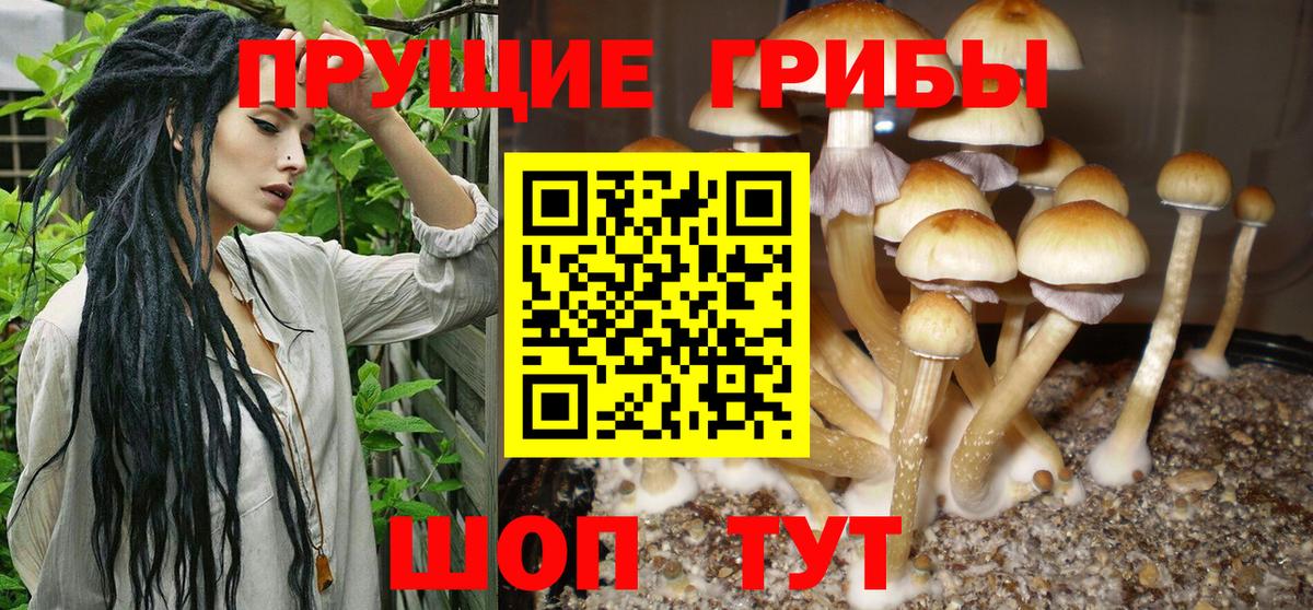 Вязники  Псилоцибиновые грибы Magic Shrooms  Вход с VPN 